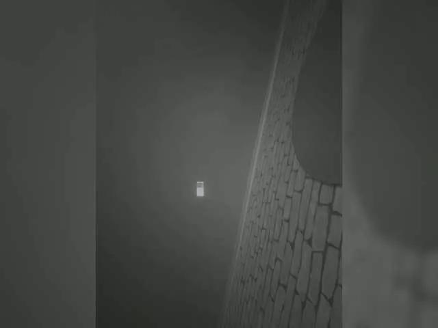pizzahubb from BongaCams