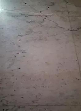 Nisha027 from StripChat