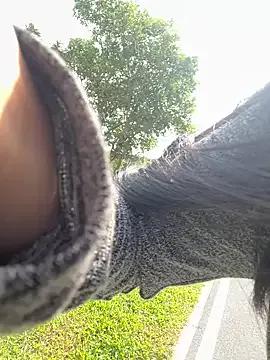 Winona88 from StripChat is Freechat