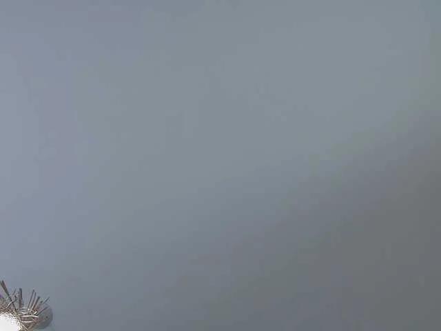 MisteryBlush on BongaCams