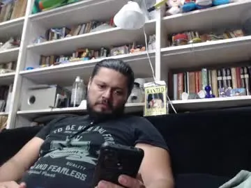 alfaalgo
