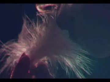 taanni_bc on Chaturbate 