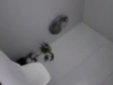 transnextdoor_ — WHERE YOU AT  ? ! LOOKING  FOR A FILTHY LCL SISSYWHORE TO BE MY CUMBUCKET FAG IN RL! #BEMYFUCKBUDDY #9INCHES #femdom s #usa #mistress #selfsuck  #usa #mistress #selfsuck #c #cuckold #bitchboy #monstercock #