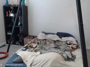 tygersslave on Chaturbate