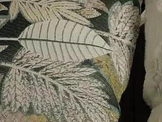 adele_holter on Flirt4Free