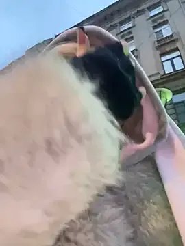 babydolll on StripChat 