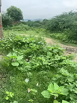 Fredship7890 on StripChat