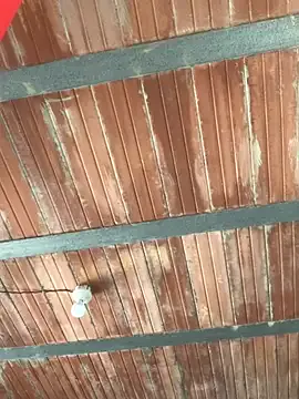 Megan2026 on StripChat