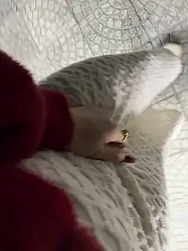 Meii-meyy — talk to a foreigner and try to seduce