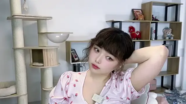 SakuraCat6