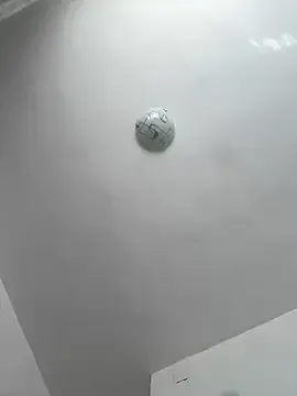 SweetCurvess